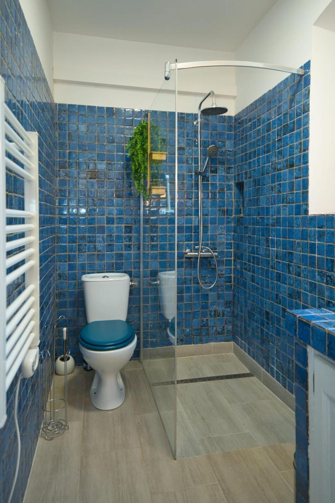06Q - Biot Beautiful Provencal Villa With Swimming Pool Luaran gambar